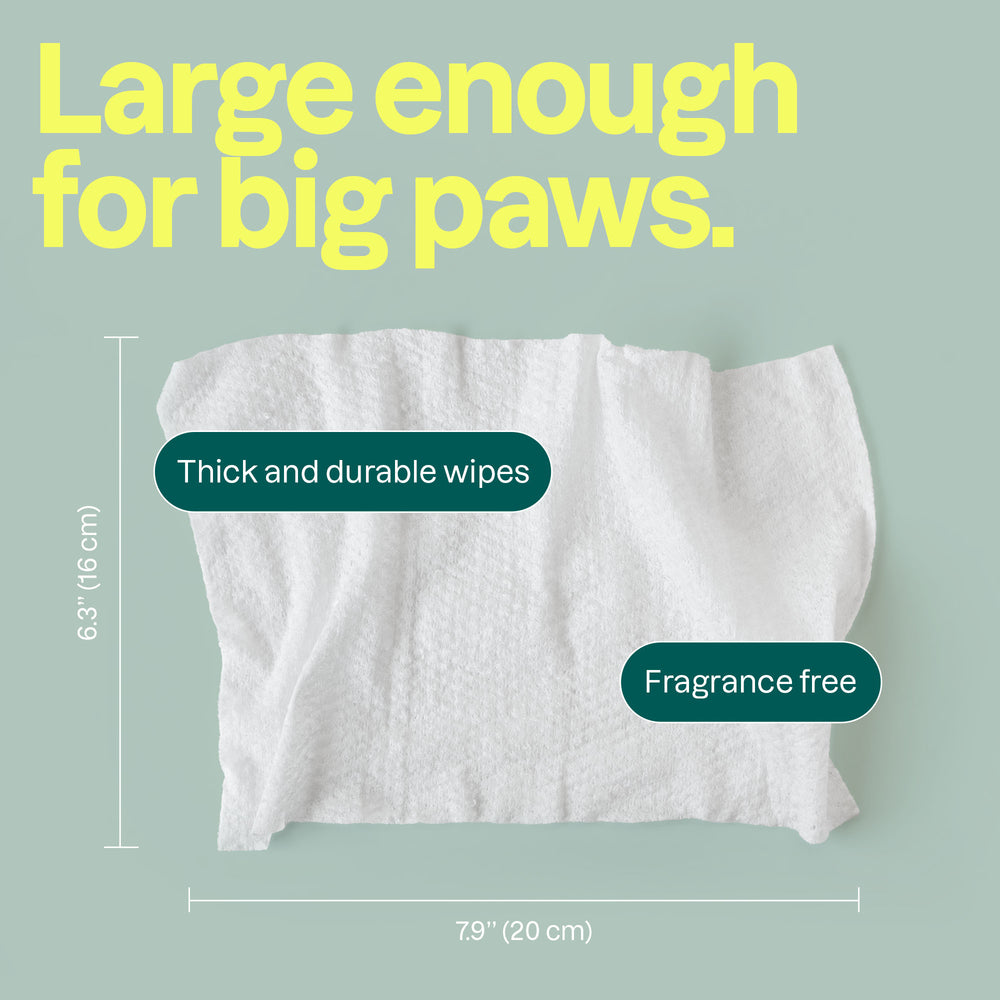 Pet Wipes - Image 3